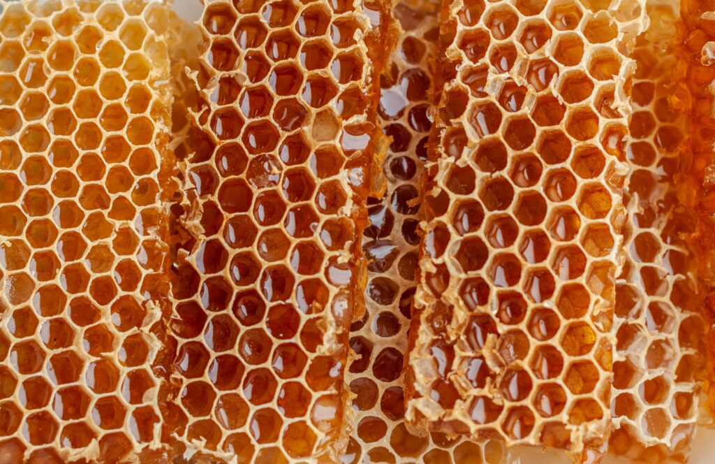 Honeycomb with honey